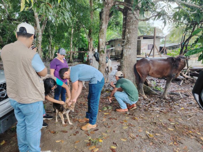 WhatsApp Image 2025-10-28 at 11.16.59 AM