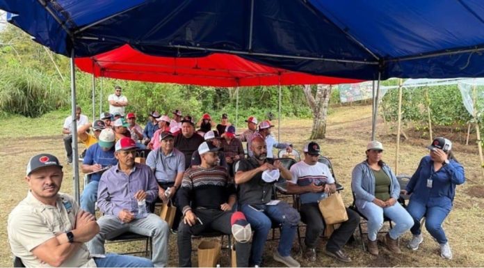 WhatsApp Image 2025-10-31 at 10.52.10 AM