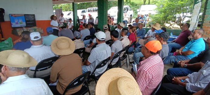 WhatsApp Image 2025-10-31 at 3.37.23 PM