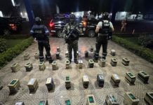 Golpe al narcotráfico: Incautan 215 paquetes de presunta droga en puerto del Pacífico