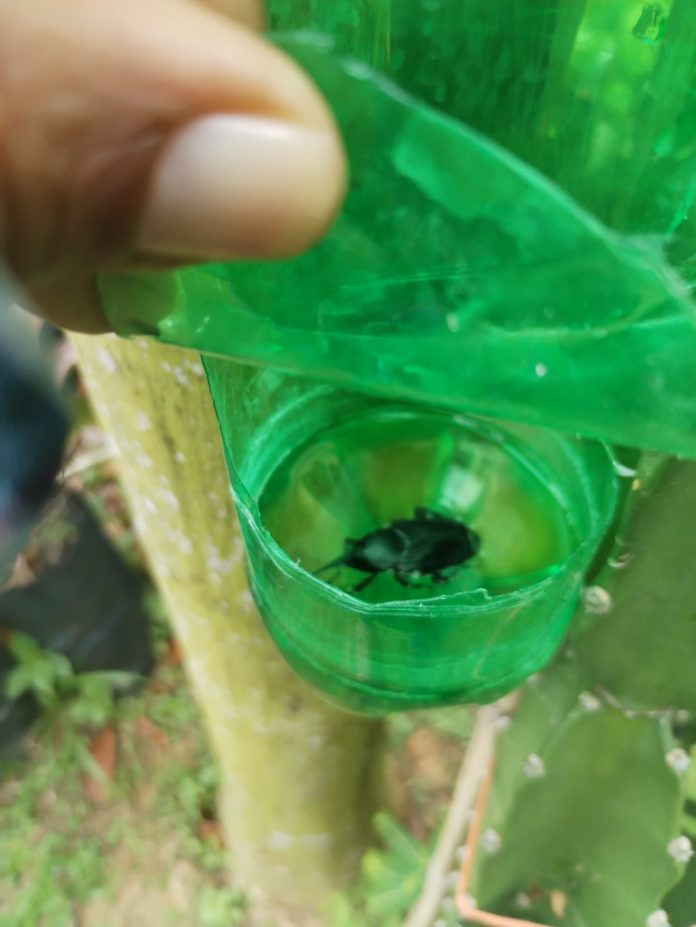 Altos de Campana en Capira