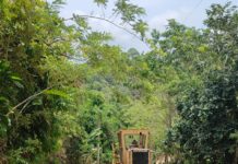 Avanzan trabajos de mejoramiento vial en la comunidad de La Escandalosa, corregimiento de Buena Vista